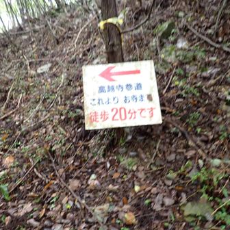 案内