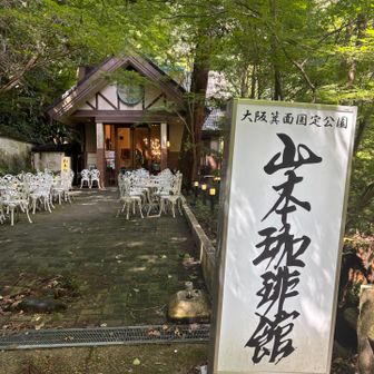 こちらでランチにします