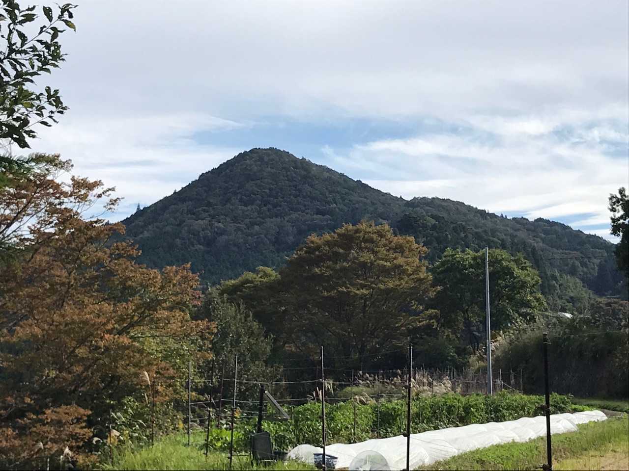 三草山。綺麗な形のお山だ。