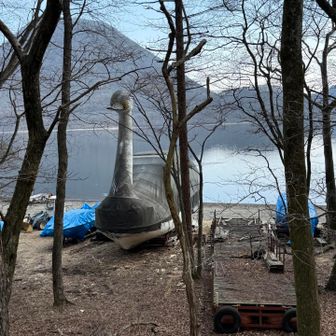 デカめのスワン🦢