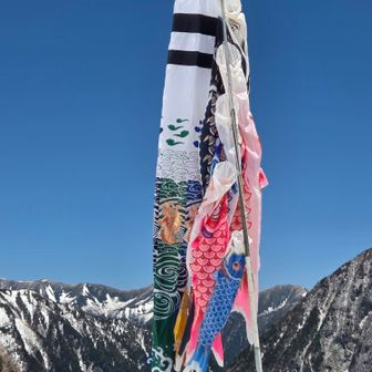 こどもの日です🎏
空の色が濃い💙