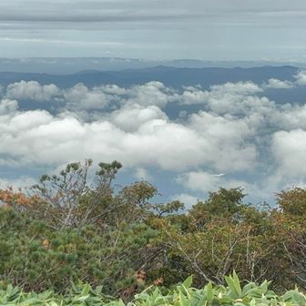 雲☁️増えた