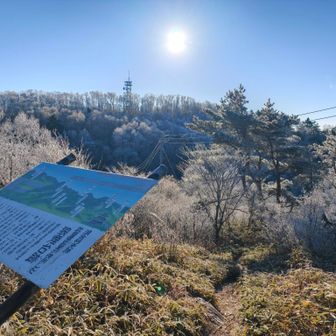 展望所からいったん下って山頂へ