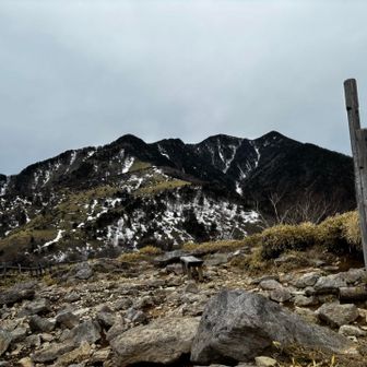 ついた！
緑の濃淡が素敵😀