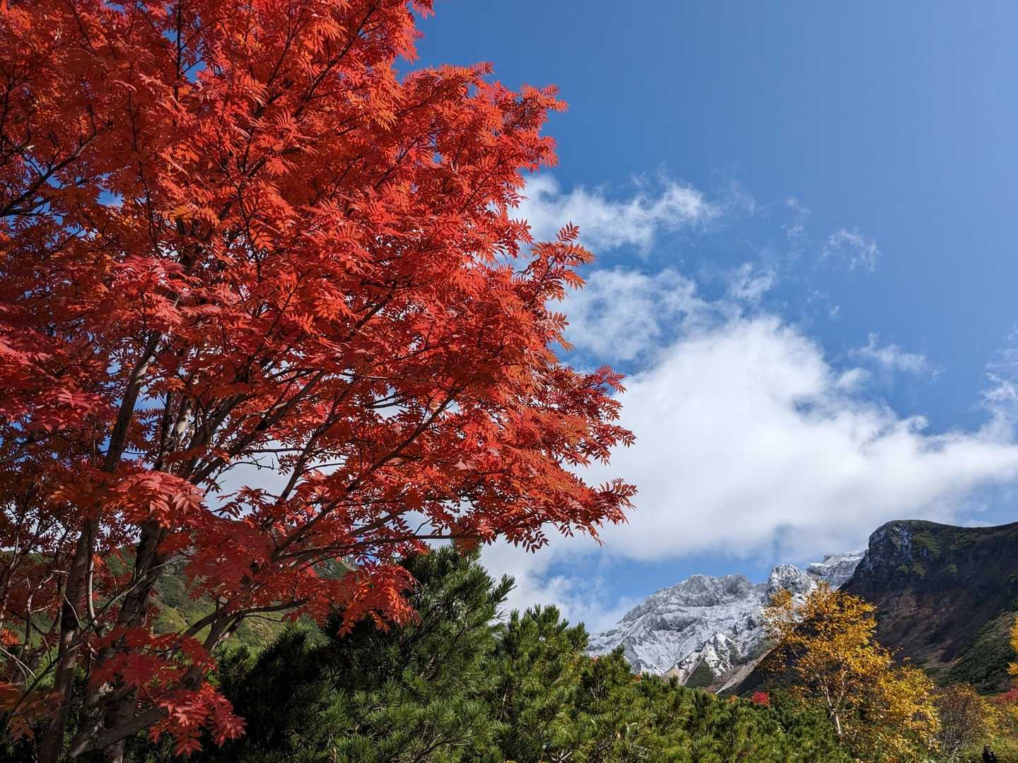 三段山 周回コースの写真