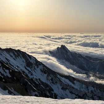 そろそろ見納め