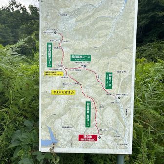 30分ほど歩き登山口に着く