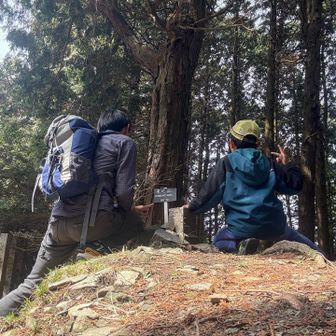 米ノ山山頂へ。