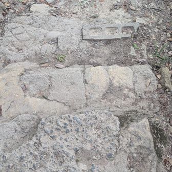ふと、高御位山の成井の参道って、階段？としては何段あるんだろうかと思い、数えてみることに…