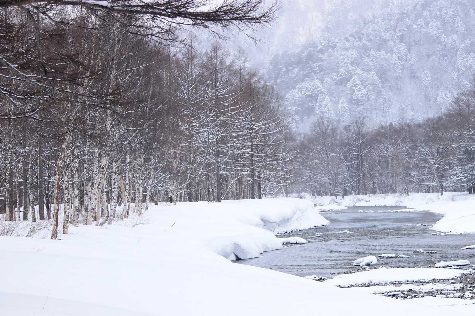 川沿いの雪のラインがいいのよね～💕