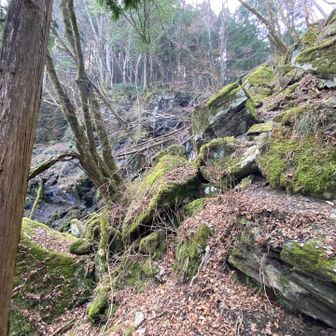 写真からだとどこ登るのかよくわからない急登