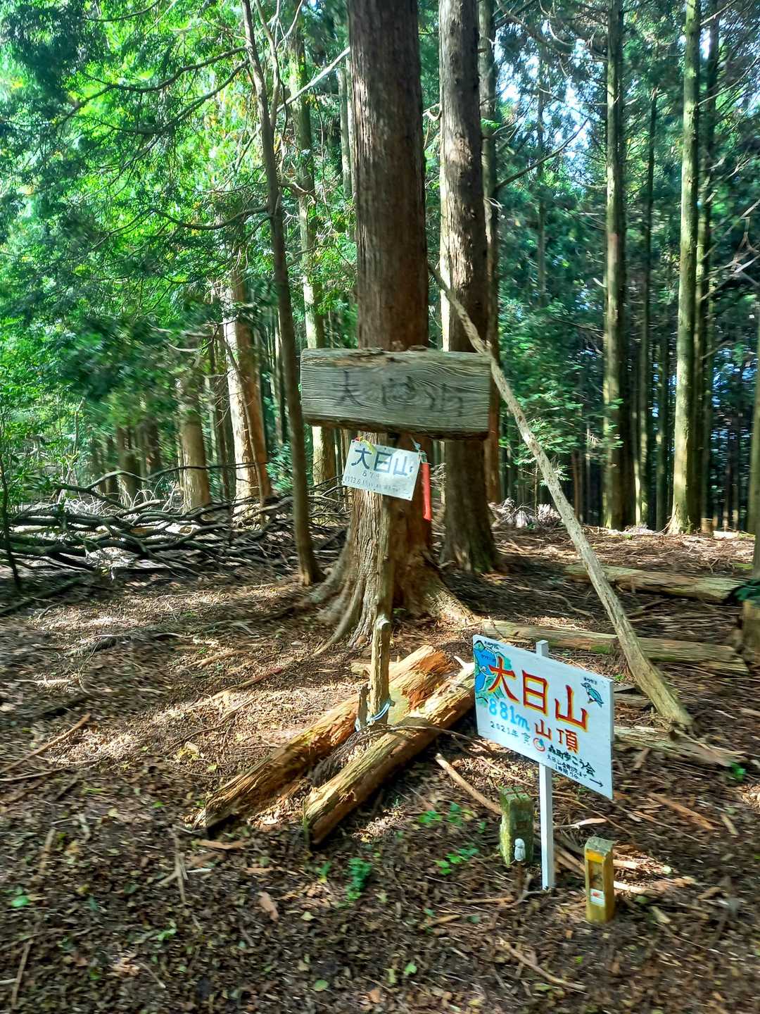 山頂です。標高881m