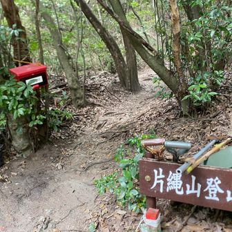 タマゴダケにも会いたいから今日はここ🥚
