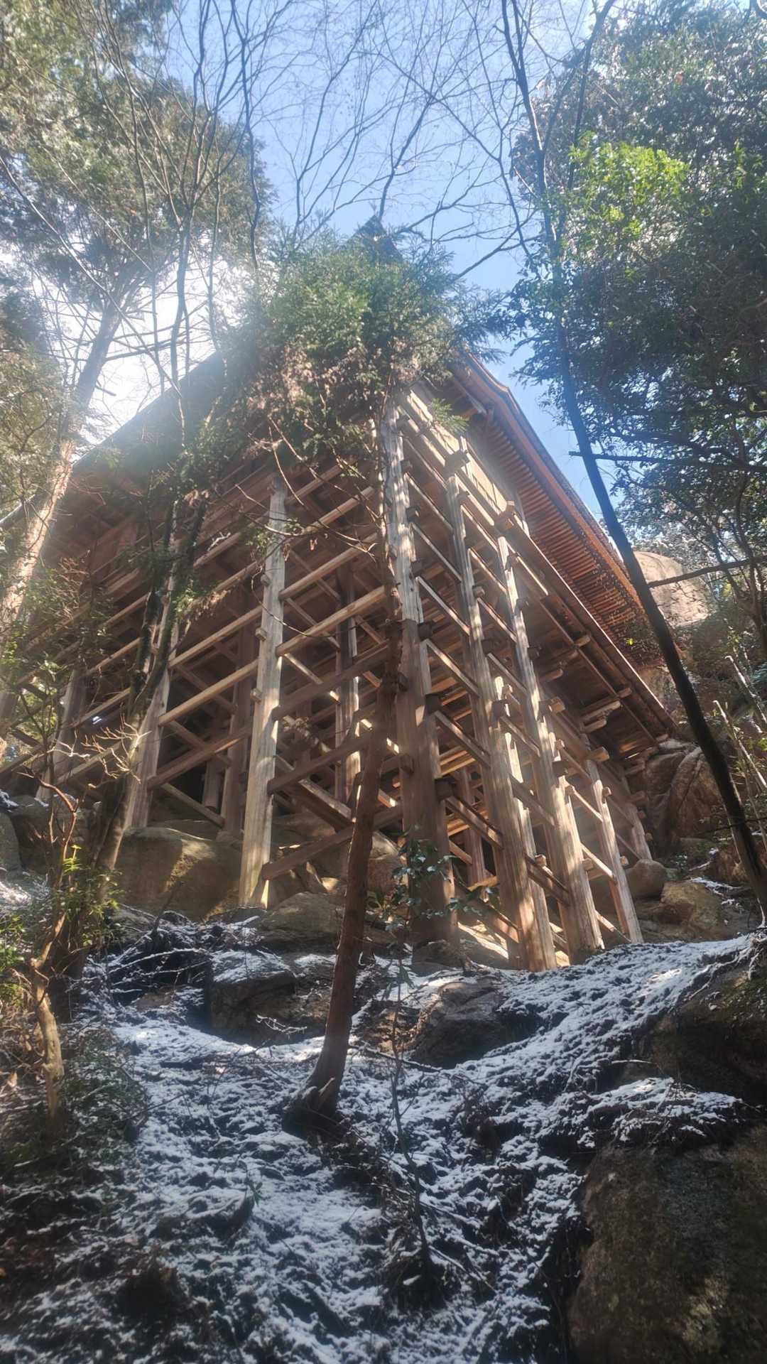 里南口バス停-アルプス登山口バス停-堂山-太神山-出合峠- 周回コースの写真
