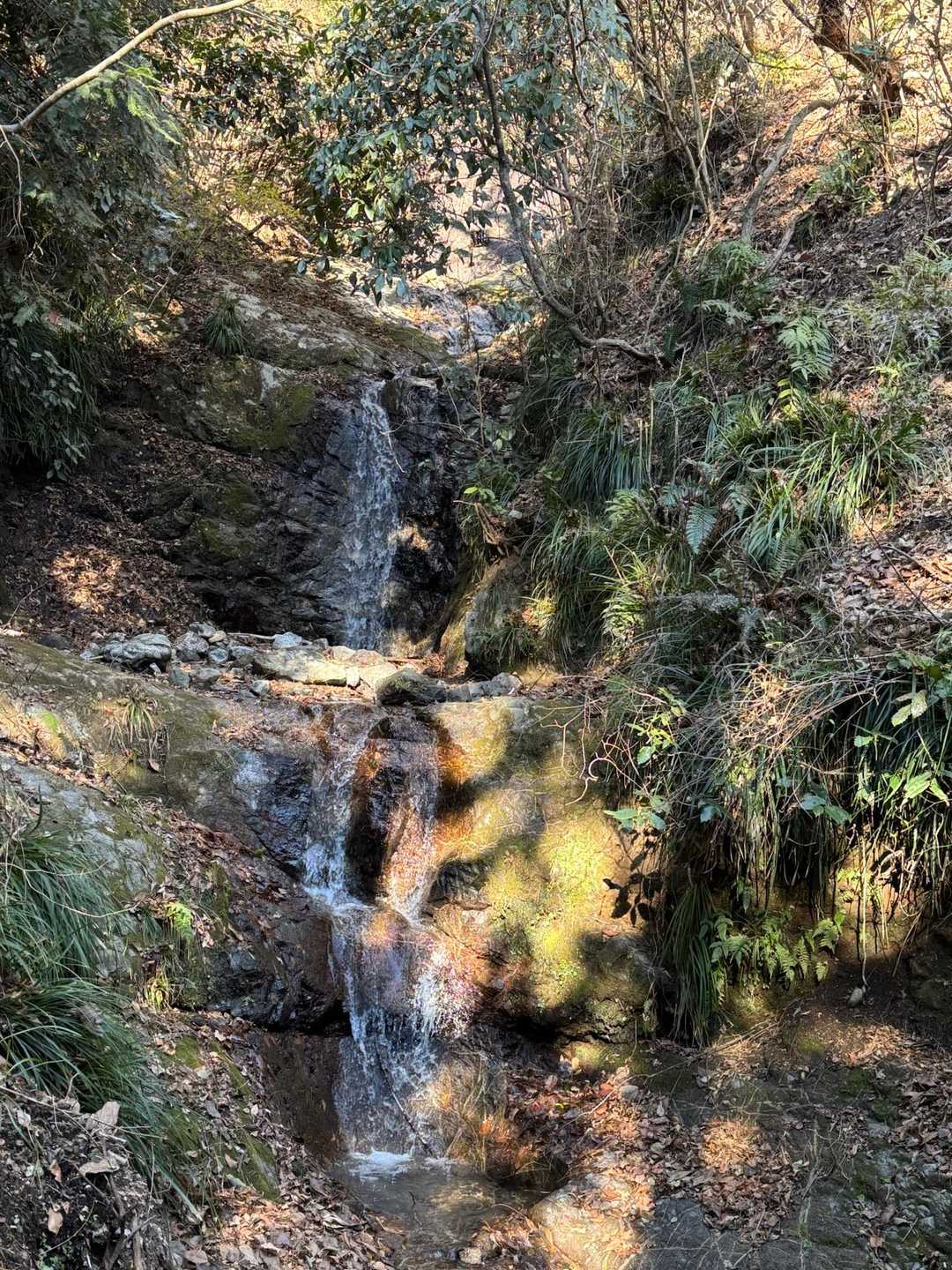 高松山入口バス停-高松山-尺里峠 周回コースの写真