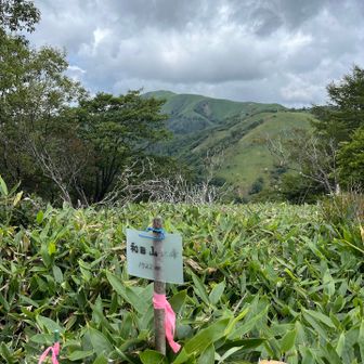 和田山北峰。
ここまでにして戻ります🚶‍♂️‍➡️🚶‍➡️🚶‍♀️‍➡️🚶‍♂️‍➡️