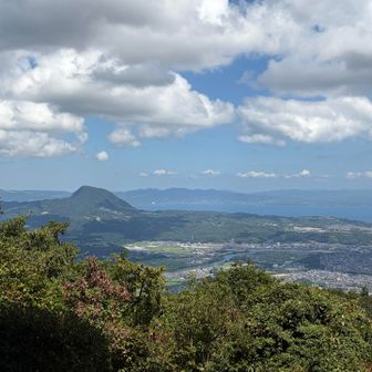 高崎山を、眺めながら