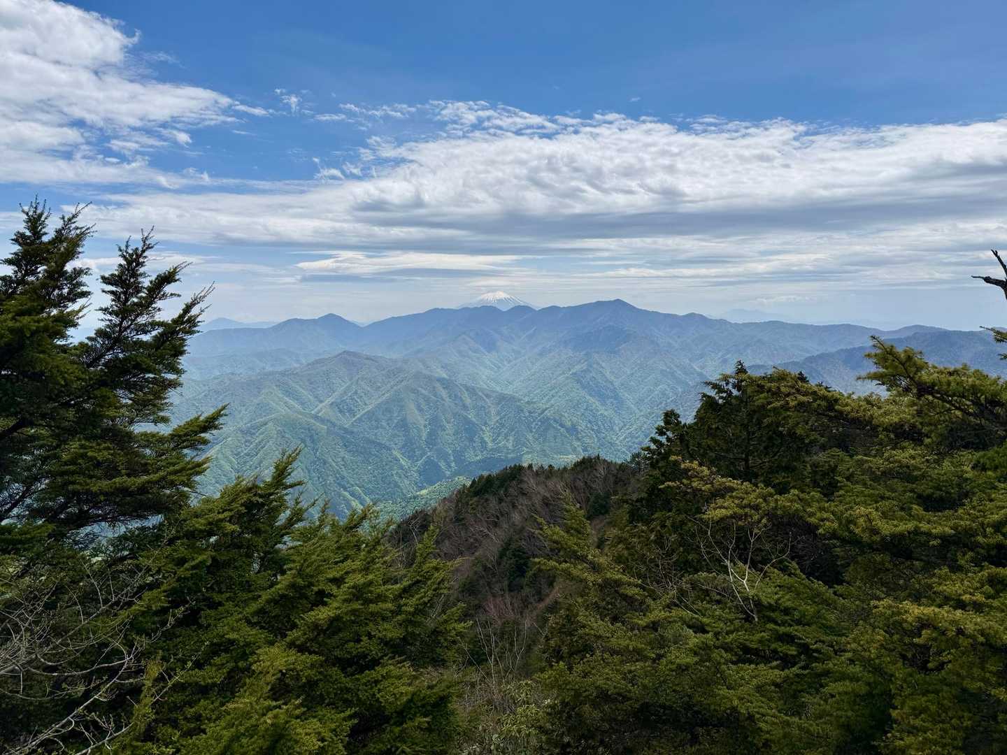 飛龍山（丹波バス停）＜ミサカ尾根＞の写真