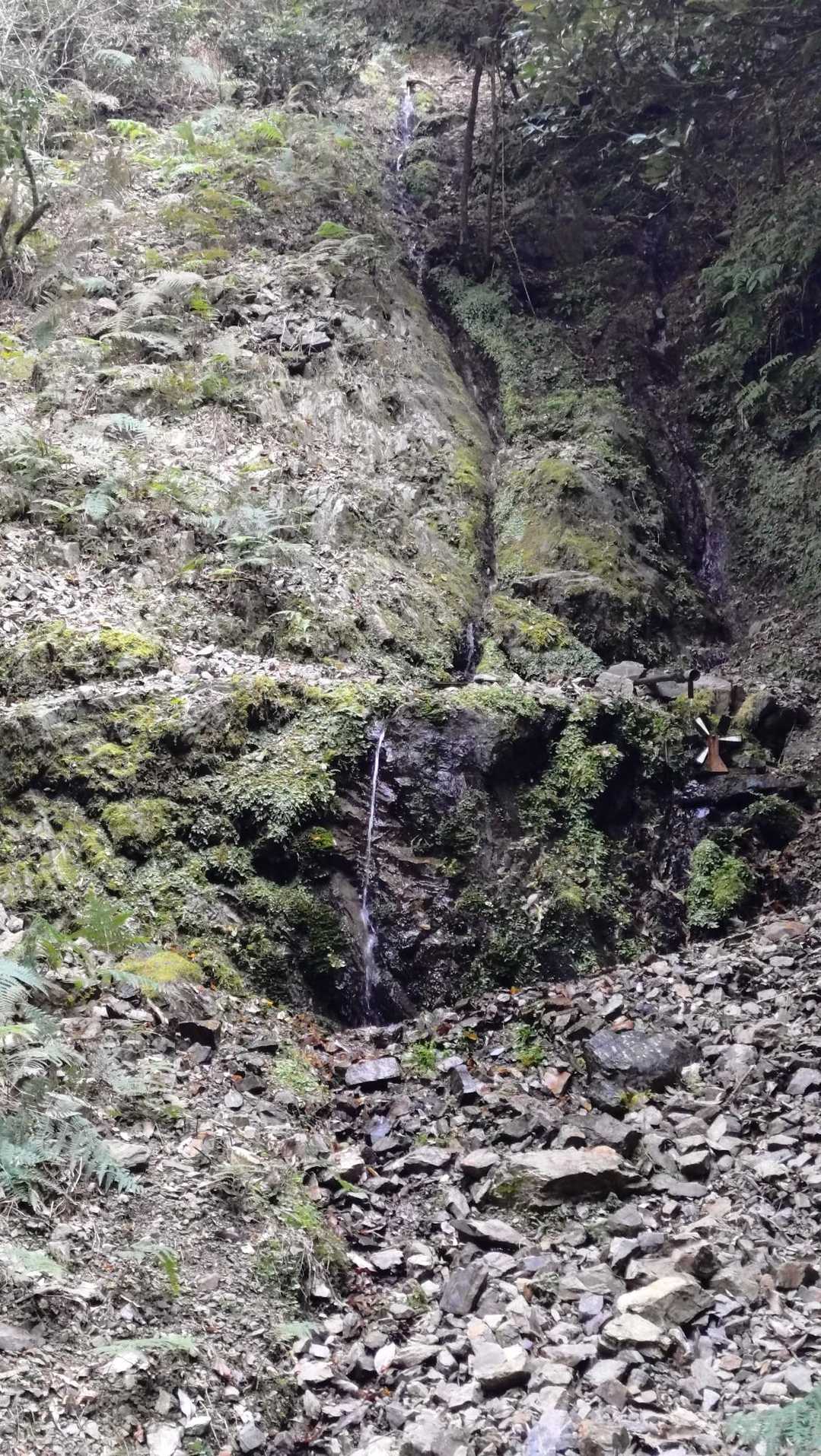 苔の雫滝