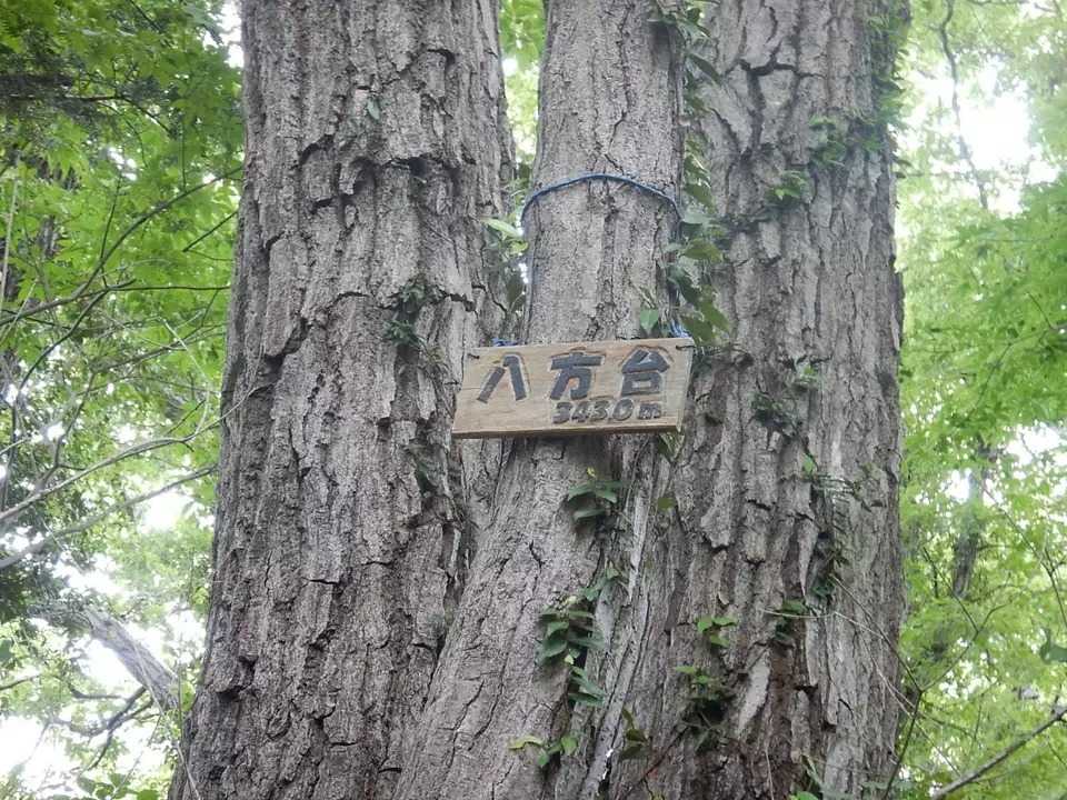 八方台の写真