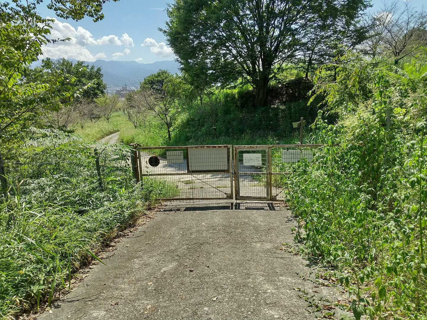 熱中症で倒れずに帰れた‼️
