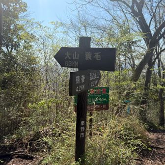 大山まで8.3km。さすがに遠いな😱