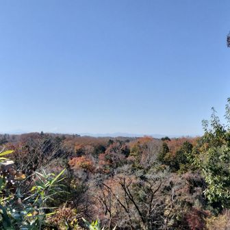 道路から少し右に入った場所を少し登ると…ひっそりと狭山富士がありました(*´∀｀*)✨️
見晴らしは思ったよりもありました👏