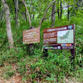 エネフリさんがスポンサー