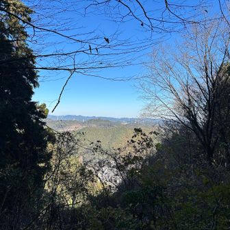 きれいな景色✨