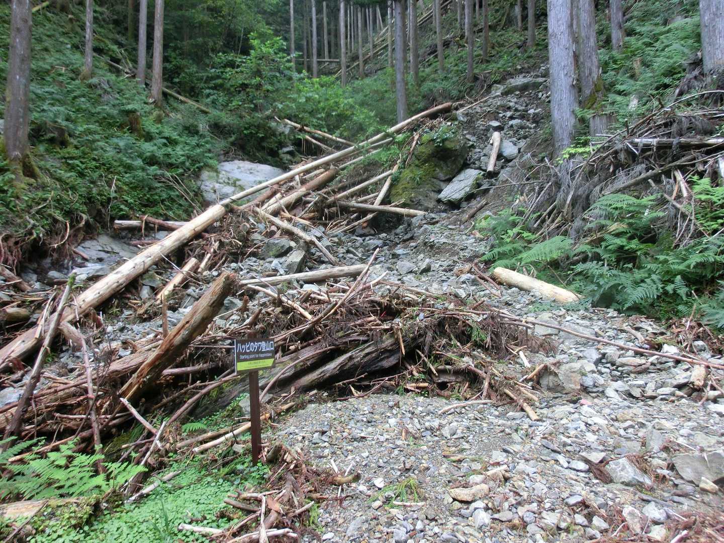 ハッピのタワ登山口（標高860m付近）
荒れています
少し登ると右手の方へ九十九折れのみちが続きます