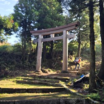 木の鳥居
