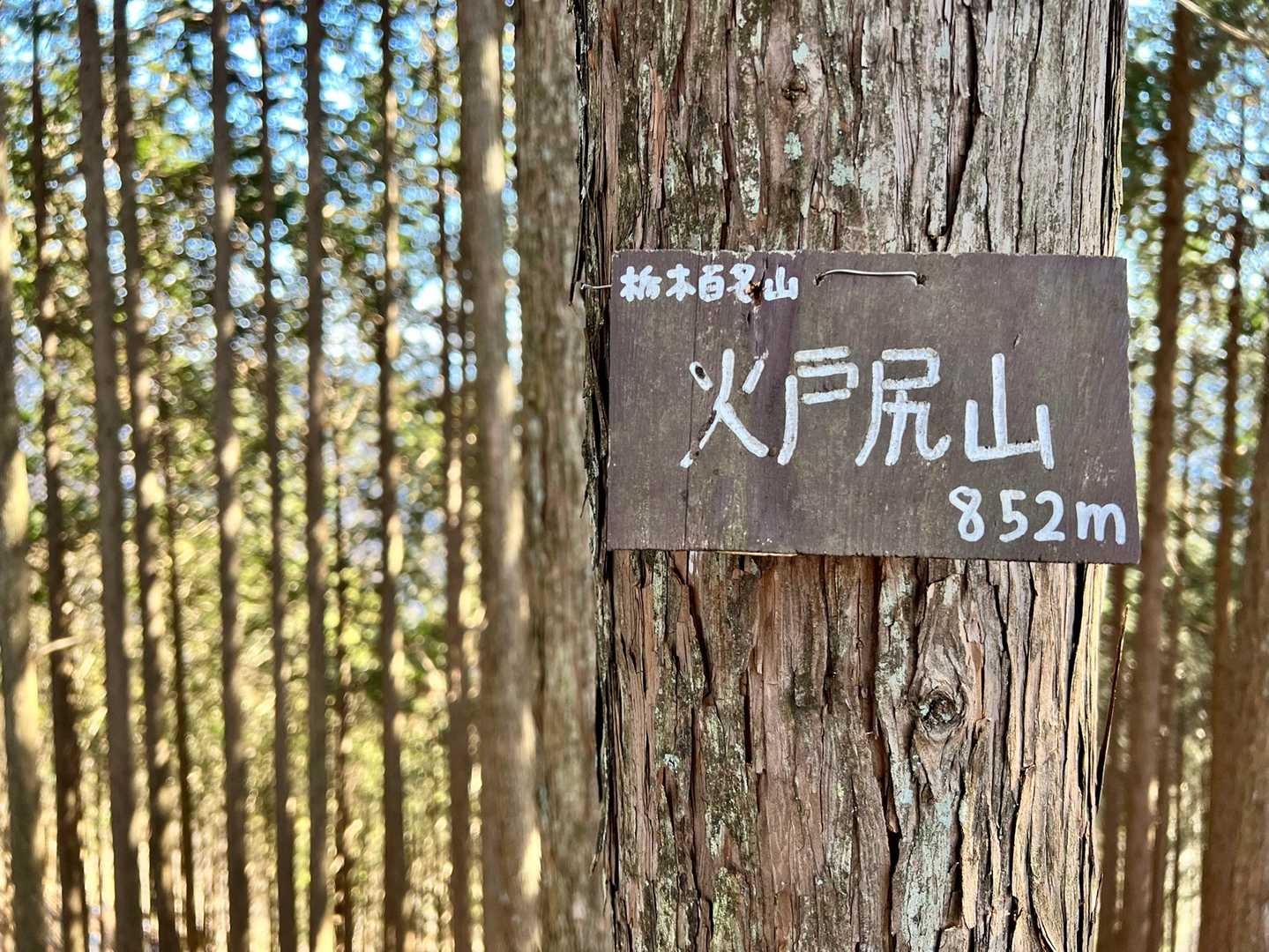 火戸尻山の写真