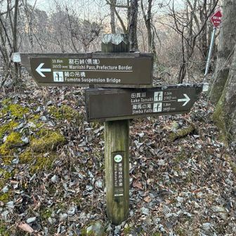 陣馬の滝まで片道で5km100分です。歩いたら真っ暗になりそうなので車にしました。