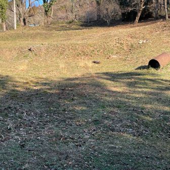 この段差は屋敷跡か？