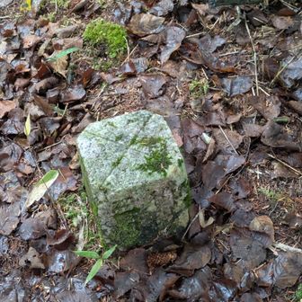 明治時代の三角点だって😳
今と場所が違って、登山道にある。
見つけてね😉