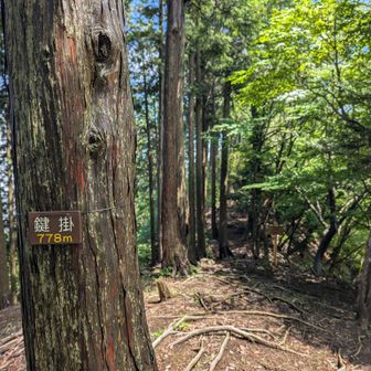 鍵掛
この一つ手前のピークで取りつかれた😱
ここからは大丈夫だと思ったけど…