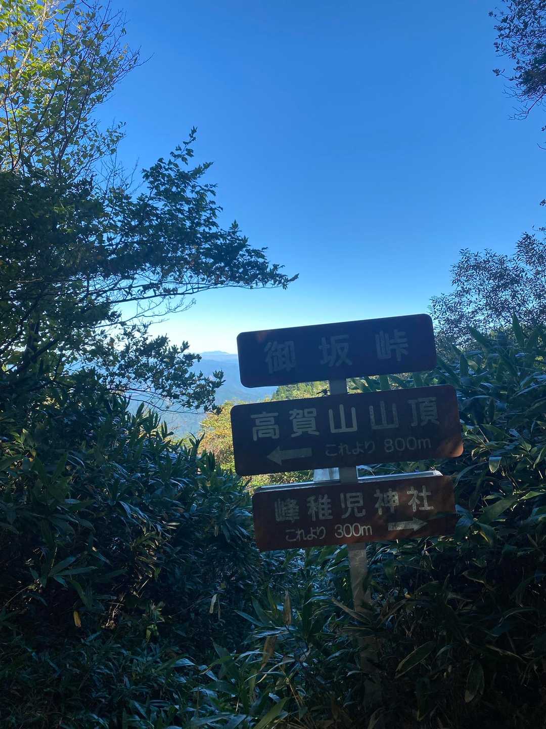 なんちゃって高賀山⛰へ