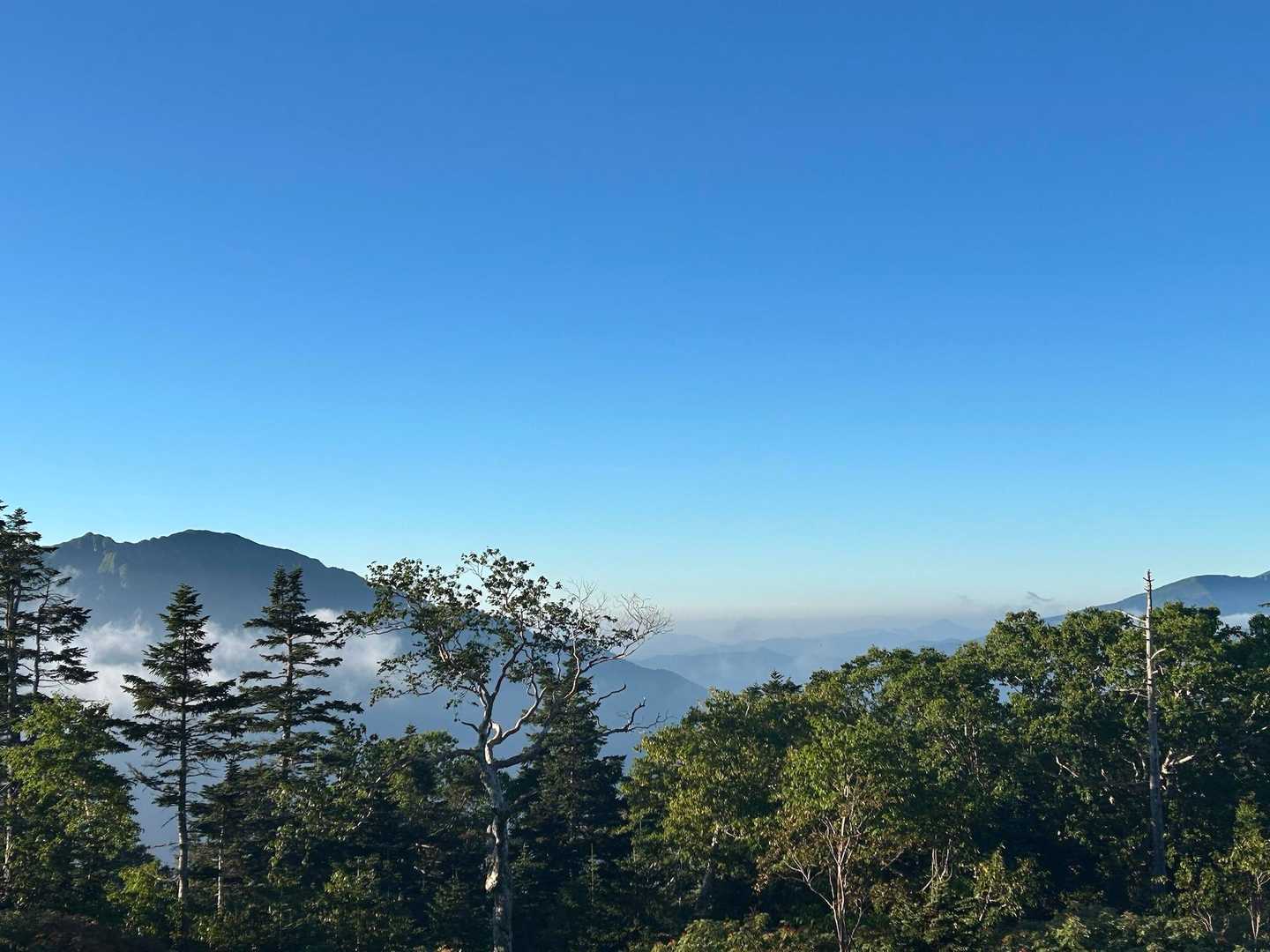 今日も良い天気☀️✨