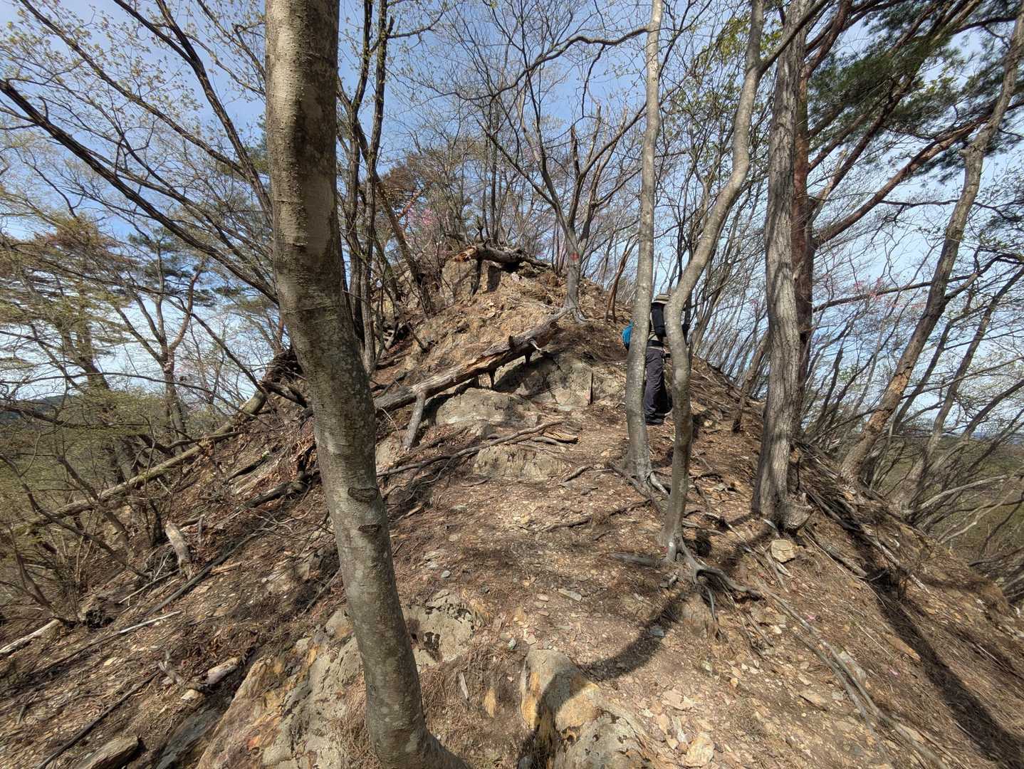 何度か急登現れます😵