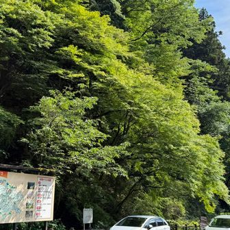 心が洗われた

次の目的地に移動します🚘