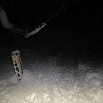 井戸尾根入口🪧