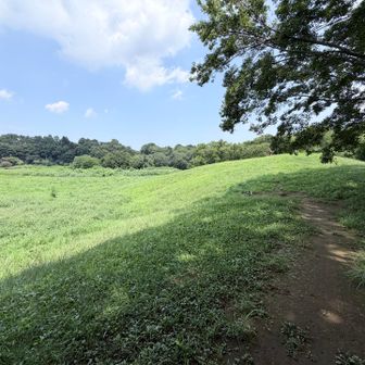 山頂が見えてきました🗻
日陰から出たくない
