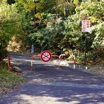 香貫山は公園内の山頂。なのですっと舗装路