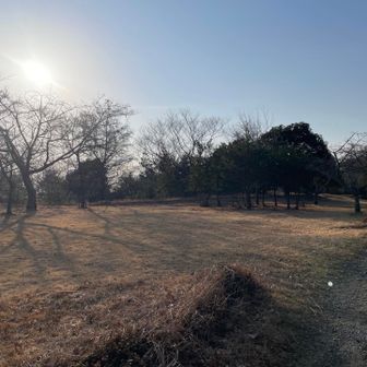 庭田山頂公園到着。
養老山地の丁度中間あたりにあり、綺麗なトイレもある広々とした🎪適地。

前日ここまで来たかったけど、朝歩いてみて余裕で無理だったとわかった🤣