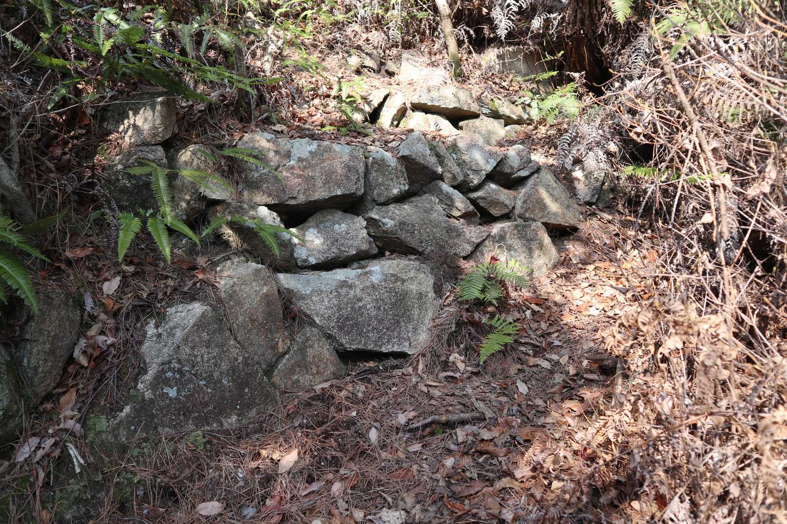 城址の石垣?