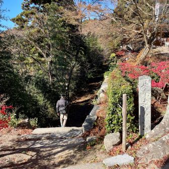 脇道から観音寺城跡へ🏯