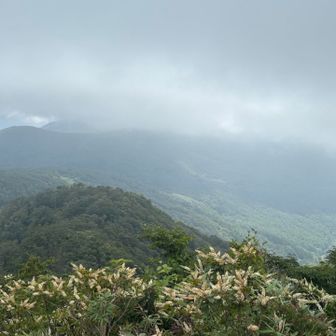 猫魔ヶ岳山頂でしばらく待ちましたが
これが精一杯
