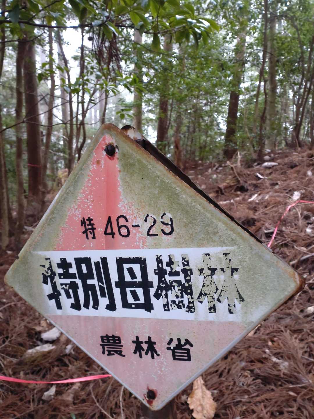千本山 往復コースの写真