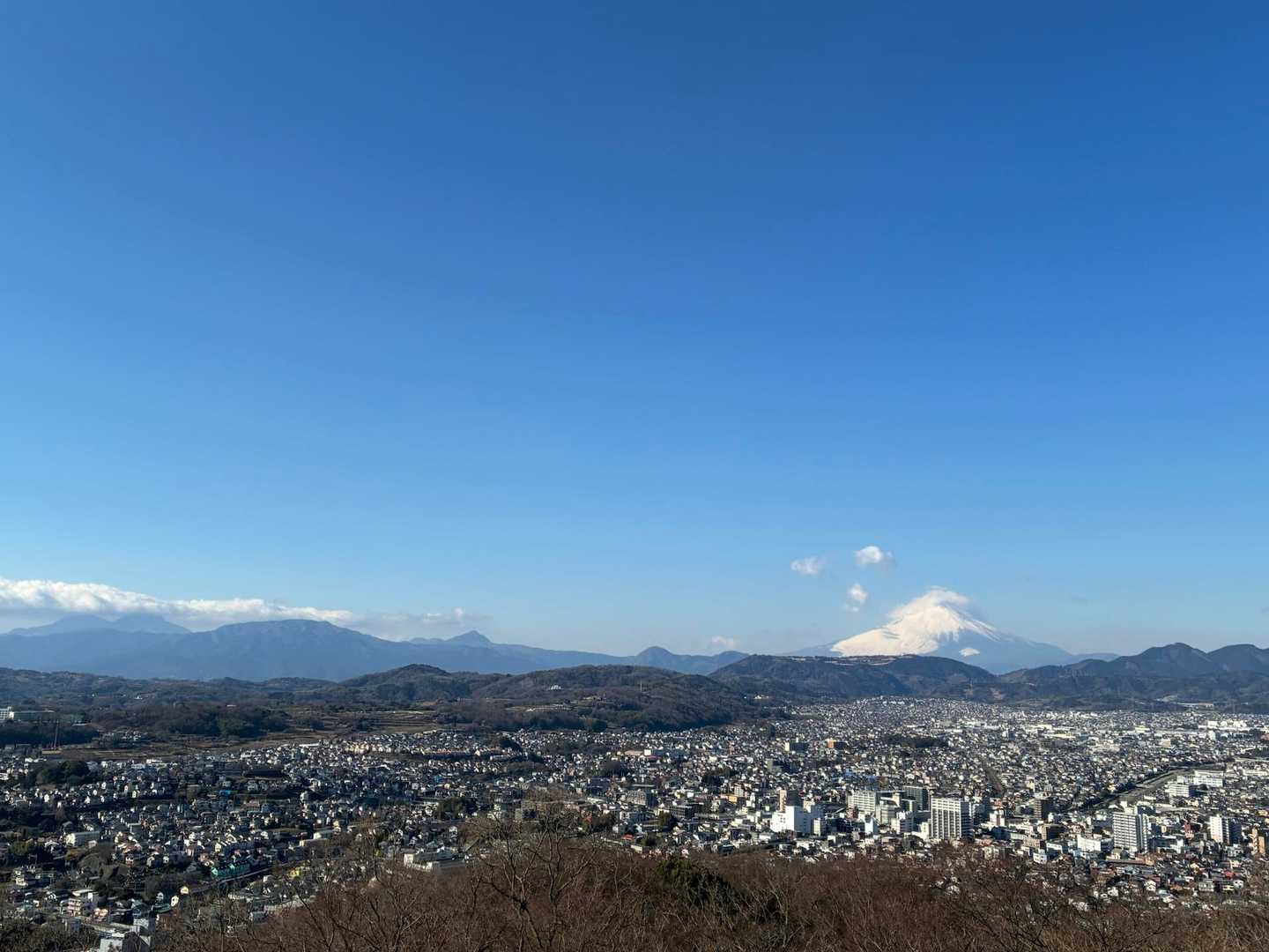 秦野駅-弘法山公園入口登山口-権現山-弘法山-善波峠-善波 縦走コースの写真