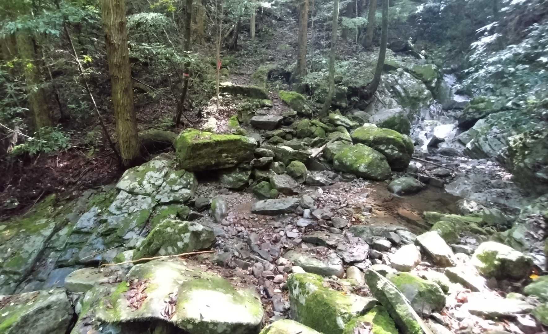 ☔雨上がりで増水してるかと思ったけど
大丈夫だった👍